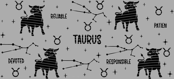 16oz Constellation-CI-270